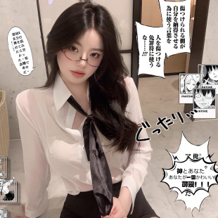 教师职业装透视白衬衫女长袖御姐风套装雪纺衬衣ol制服秘书包臀裙