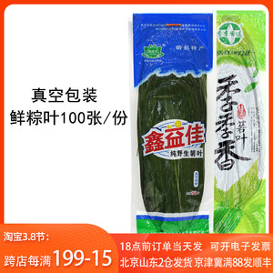 粽子叶200片 粽叶新鲜箬叶真空包装端午节包粽子大叶子宽材料大号