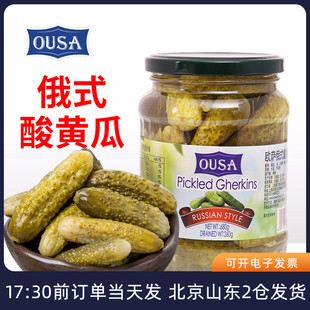 欧萨俄式 进口0脂俄罗斯腌小青瓜罐头汉堡包专用家用 酸黄瓜680g