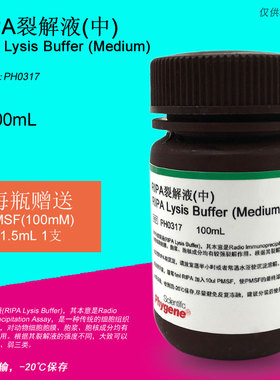 RIPA裂解液 [中] RIPA Lysis Buffer [PH0317 PHYGENE]