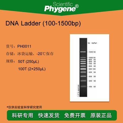 DNA ladder (100-1500bp) DNA Marker 100T [PH0011 PHYGENE]
