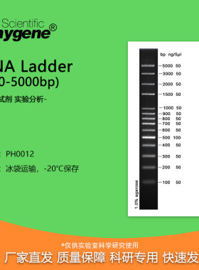100bp plus DNA Ladder/Marker (100-5000bp) [PH0012 PHYGENE]