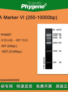DNA Marker (250-10000bp) 100T [PH0007 PHYGENE]