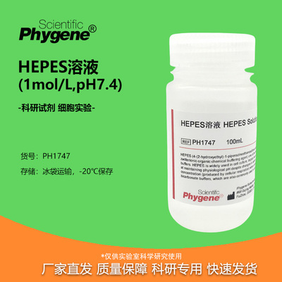 HEPES溶液细胞培养无菌