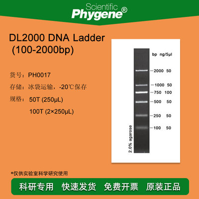 DL2000 DNA Ladder 100-2000bp 100T PH0017 PHYGENE