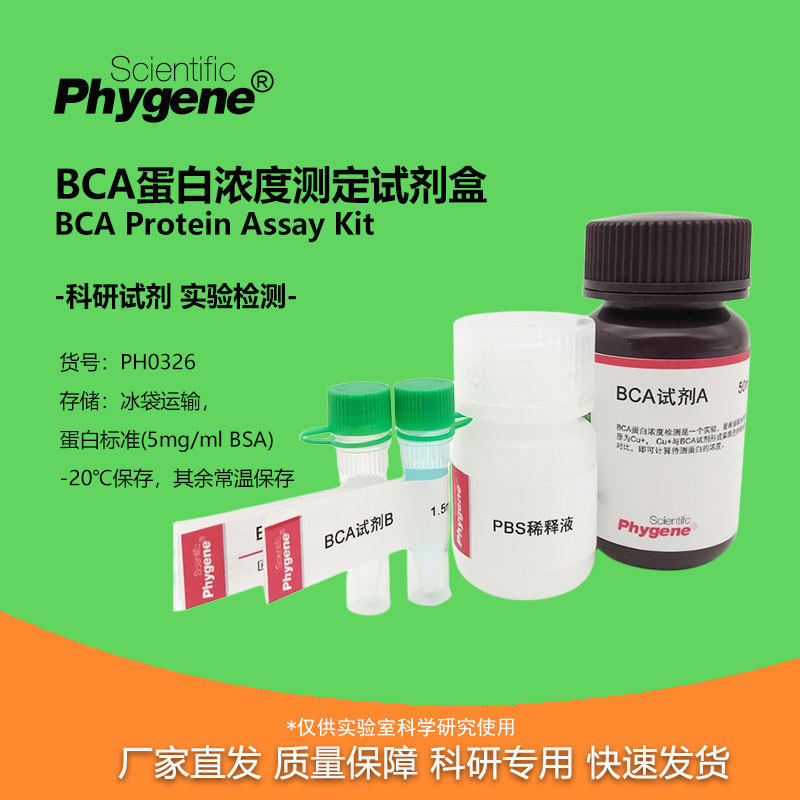 BCA蛋白浓度测定试剂盒