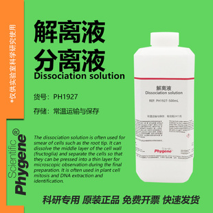 细胞分离液 解离液 细胞有丝分裂果胶质溶解离析液 洋葱生物实验