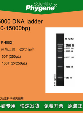 DNA Marker DNA ladder (250-15000bp) 100T [PH0021 PHYGENE]