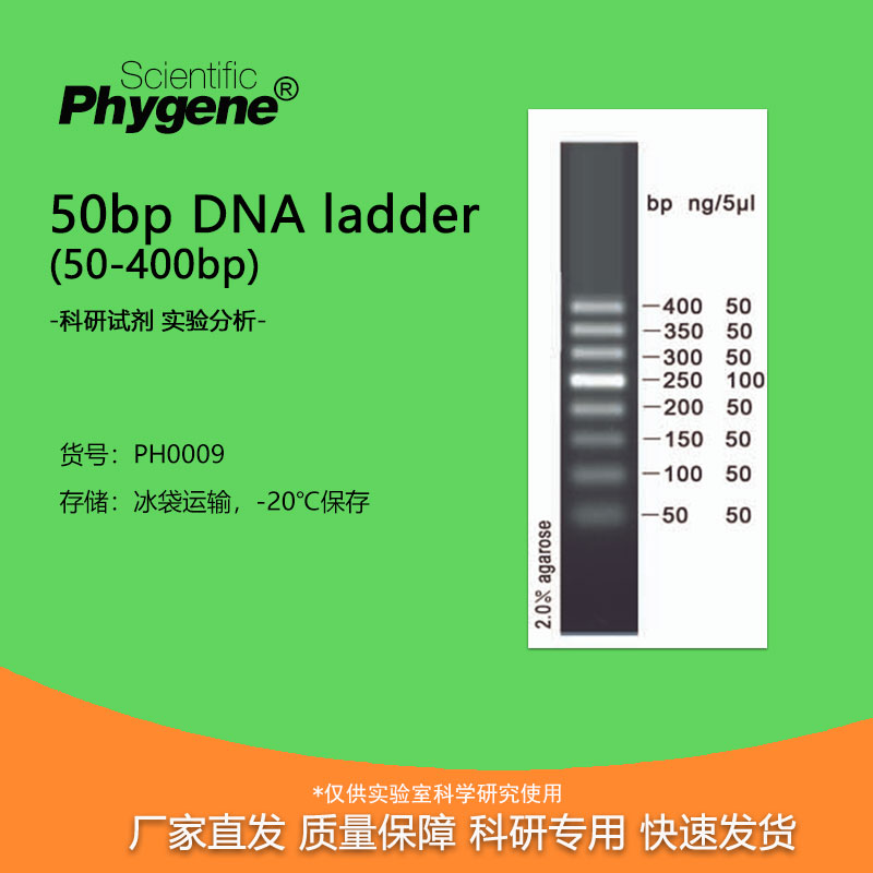 核酸电泳50bpDNAMarkerladder