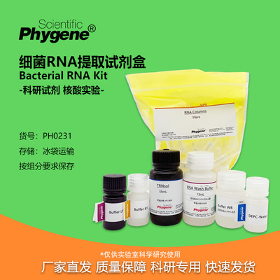 细菌RNA提取试剂盒Phygene