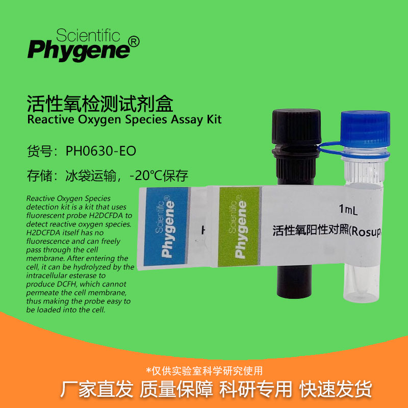 ROS活性氧检测试剂盒Phygene