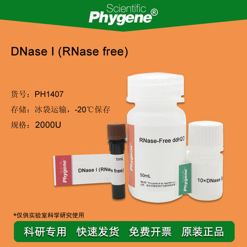 脱氧核糖核酸酶I DNase I (RNase free) 2000U [PH1407 PHYGENE]
