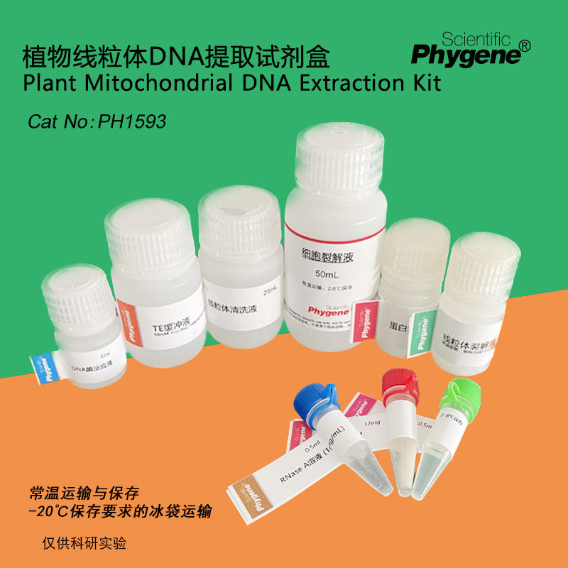 植物线粒体DNA提取试剂盒 核酸提取 科研实验专用 PH1593 PHYGENE