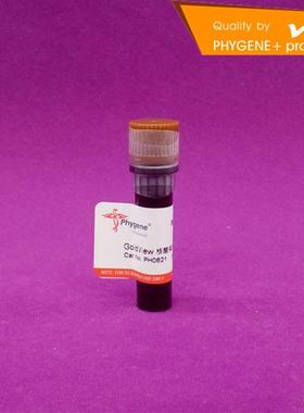 PH0621 GoldView 核酸染色剂 10000× 核酸染料 飞净/PHYGENE