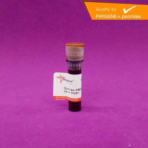 GoldView是一种可替代溴化乙锭（EB）的新型核酸染料，采用琼脂糖凝胶电泳检测DNA 时，其与DNA发生结合并产生很强的荧光信号，灵敏度与 EB 相当，使用方法与之完全相同。