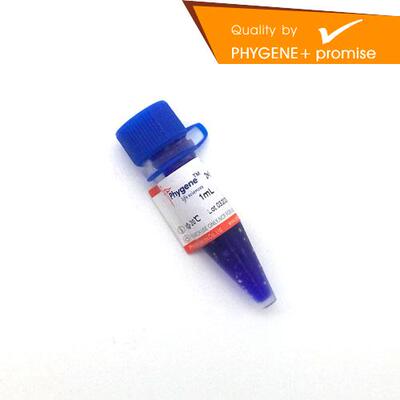 PH0225 RNA上样缓冲液 变性 2×RNA Loading Buffer 1mL Phygene