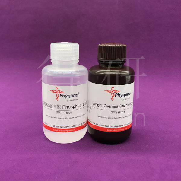 PH1236 瑞氏-姬姆萨复合染色液 瑞氏 吉姆萨染液 飞净/PHYGENE
