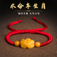 本命年红绳金丝玉十二生肖手链编织绳情侣简约手绳闺蜜男女款 礼物