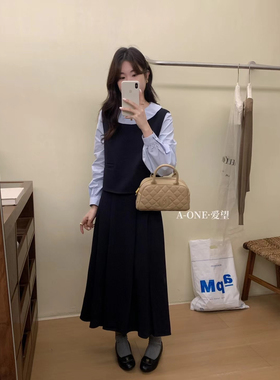 A-one爱望新款半身裙两件套女秋装搭配高级感文艺气质女套装24277