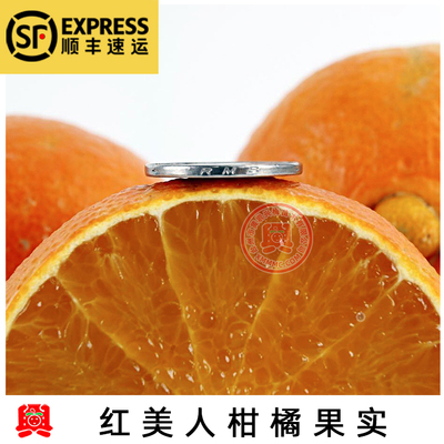 红美人果树苗红美人移植苗