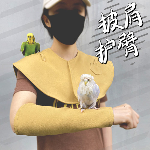 护肩护臂披肩鸟类鹦鹉