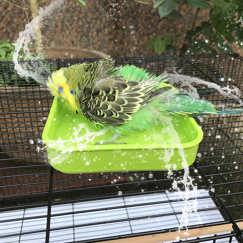 包邮 鸟用鹦鹉洗澡盘大头牡丹玄凤光滑加厚防磨伤小型鸟类