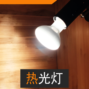 包邮鸟类鹦鹉保温UVA聚砂灯聚光灯加热灯动物爬宠宠物加温热光灯