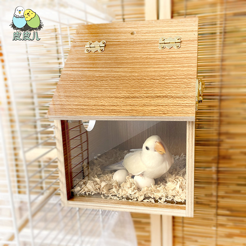 小型鹦鹉鸟屋鸟巢透明可观察