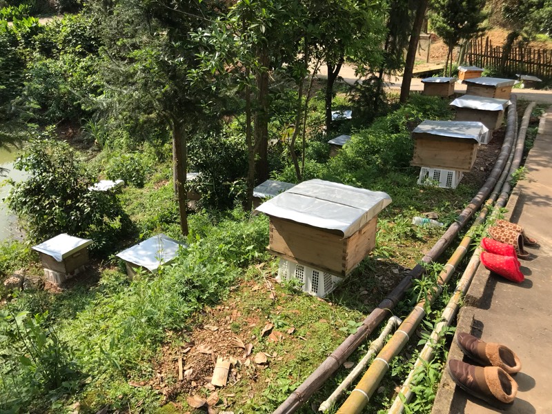 蜂箱防晒隔热防雨反光膜加厚蜂箱降温遮阳蜂箱隔热养蜂工具全套
