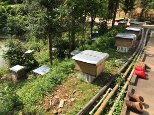 蜂箱防晒隔热防雨反光膜加厚蜂箱降温遮阳蜂箱隔热养蜂工具全套