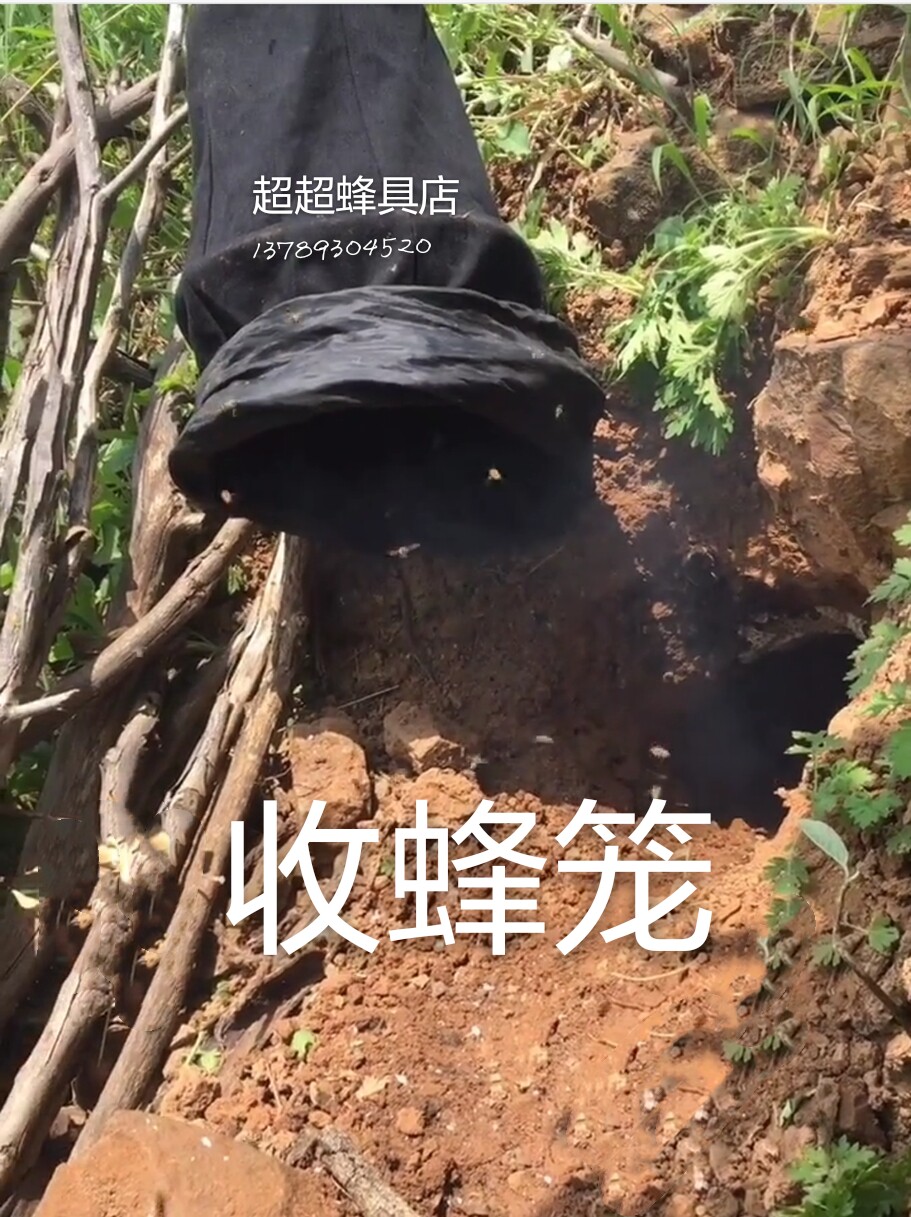 蜜蜂收蜂笼龙布袋竹制收蜂工具蜜蜂峰养蜂工具全套收招蜂诱蜂工具