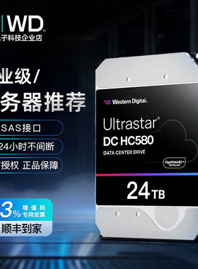 WD西部数据NAS企业级24THC580
