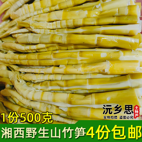 湖南沅陵野生小春笋现挖小笋子农村水竹笋炒菜凉拌山竹笋去壳水煮