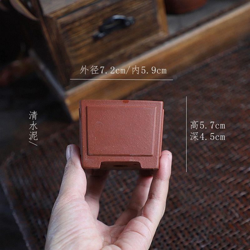 『微型一颗印』暖暖精选手工紫砂微型盆绿植盆景苔藓掌中宝