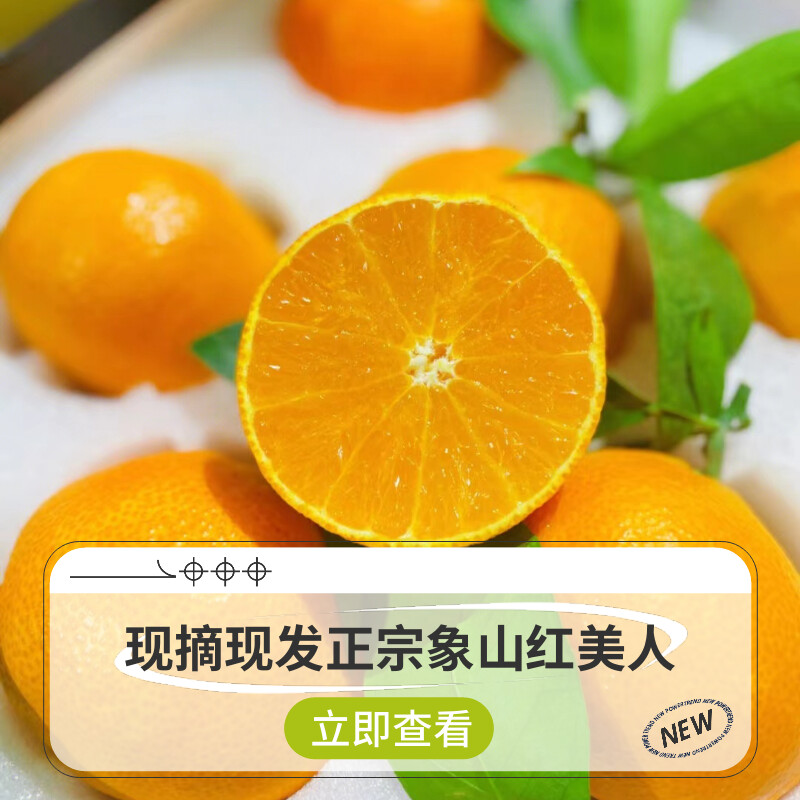 象山红美人果肉饱满汁水多