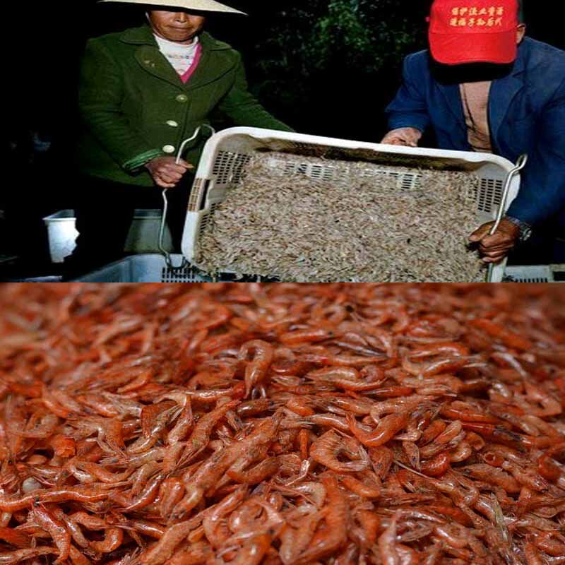 湖南农家新货野生红虾干虾小虾米淡水小虾干河虾干风干干货500G