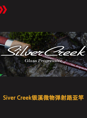 DAIWA达亿瓦银溪路亚竿SIVER CREEK微物竿弹射路亚竿白条马口鳟鱼