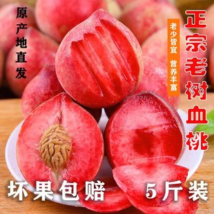 湖北正宗血桃现摘毛桃新鲜应季 时令水果5斤整箱脆甜孕妇水蜜桃子