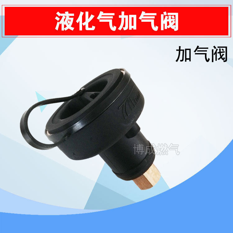 汽车天然气lpg液化气加气阀配件快接式卡扣式cng加气口充气阀配件