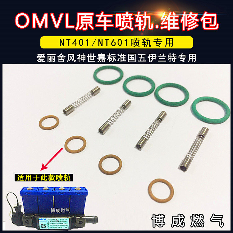 CNG汽车天然气配件伊兰特索纳塔爱丽舍世嘉OMVL喷轨胶圈弹簧新品