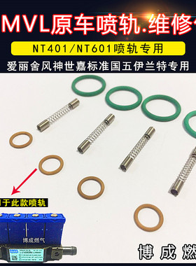 CNG汽车天然气配件伊兰特索纳塔爱丽舍世嘉OMVL喷轨胶圈弹簧新品