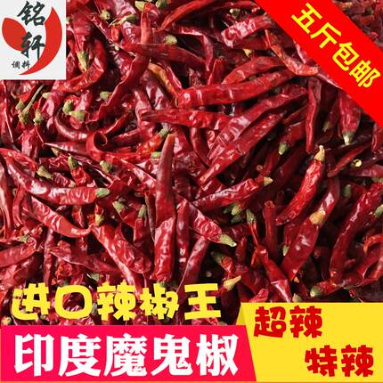 印度魔鬼干辣椒 辣椒王魔鬼椒超辣特辣椒可磨粉巨辣变态辣辣椒