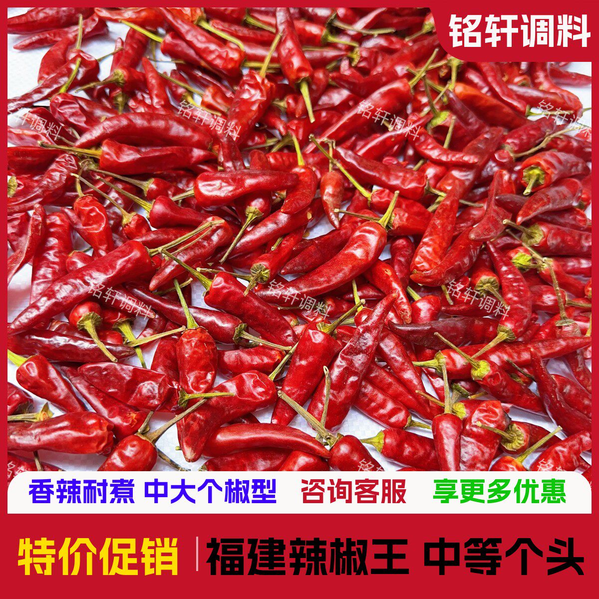 中等个头辣椒王 福建辣椒王 辣度高皮厚耐煮正宗福建辣椒王5斤装