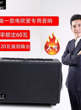 冰子BZT1电吹管专用音箱电吹管音响