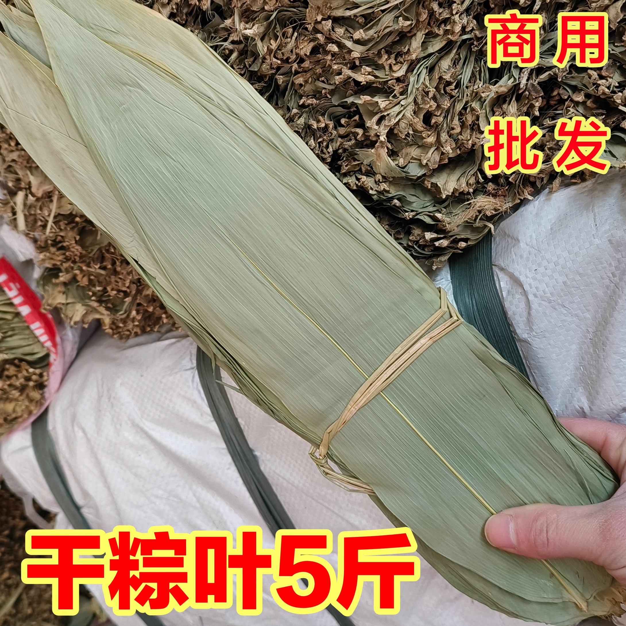 商用粽叶粽子叶包邮新鲜干大粽叶端午包粽子竹粽叶5斤野生干粽叶