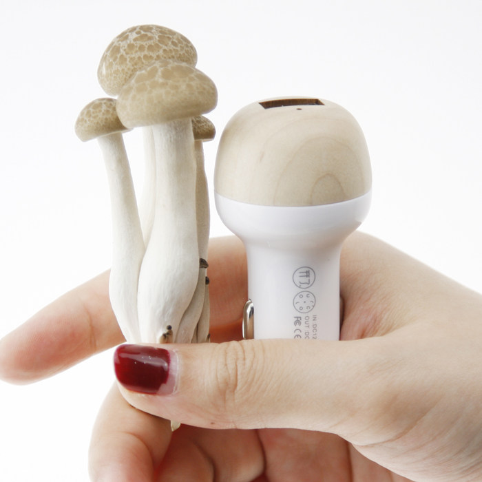 chargeur 2A - Ref 1294405 Image 5