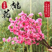 仿真桃花枝假花单支干花樱花客厅摆件树枝腊梅花绢花假树造景装 饰