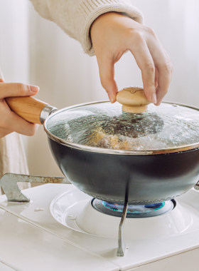 树可铁锅汤锅一人食迷你
