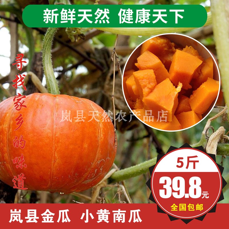 山西岚县特产新鲜红南瓜小金瓜黄皮红皮南瓜宝宝辅食农家倭瓜5斤