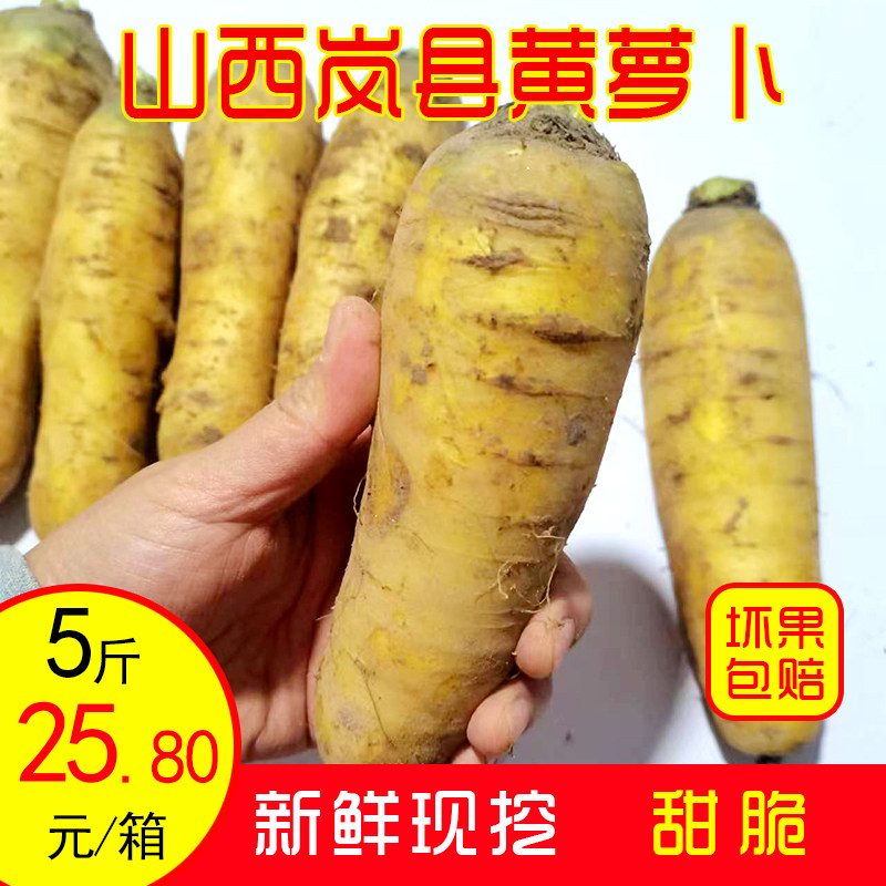 岚县黄萝卜新鲜现挖甜脆